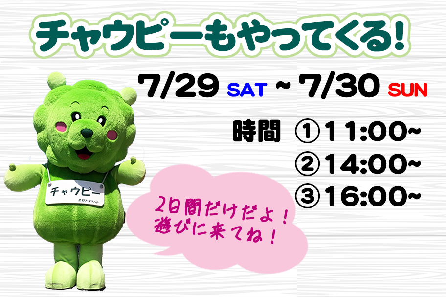 チャウフェス 2023.07