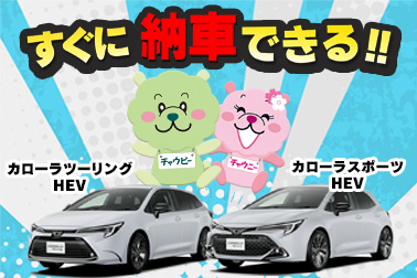 2025.6.6 カロスポ カロツー HPサムネ