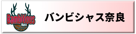 応援　バンビシャス奈良